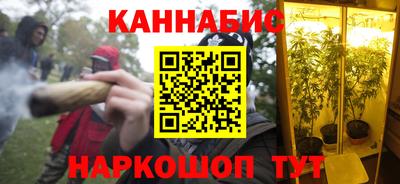 сатива Бийск