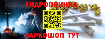 сатива Бийск