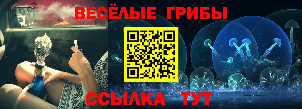 Псилоцибиновые грибы Psilocybe  Вход с VPN  Галлюциногенные грибы Cubensis  купить  сайты  Россия 